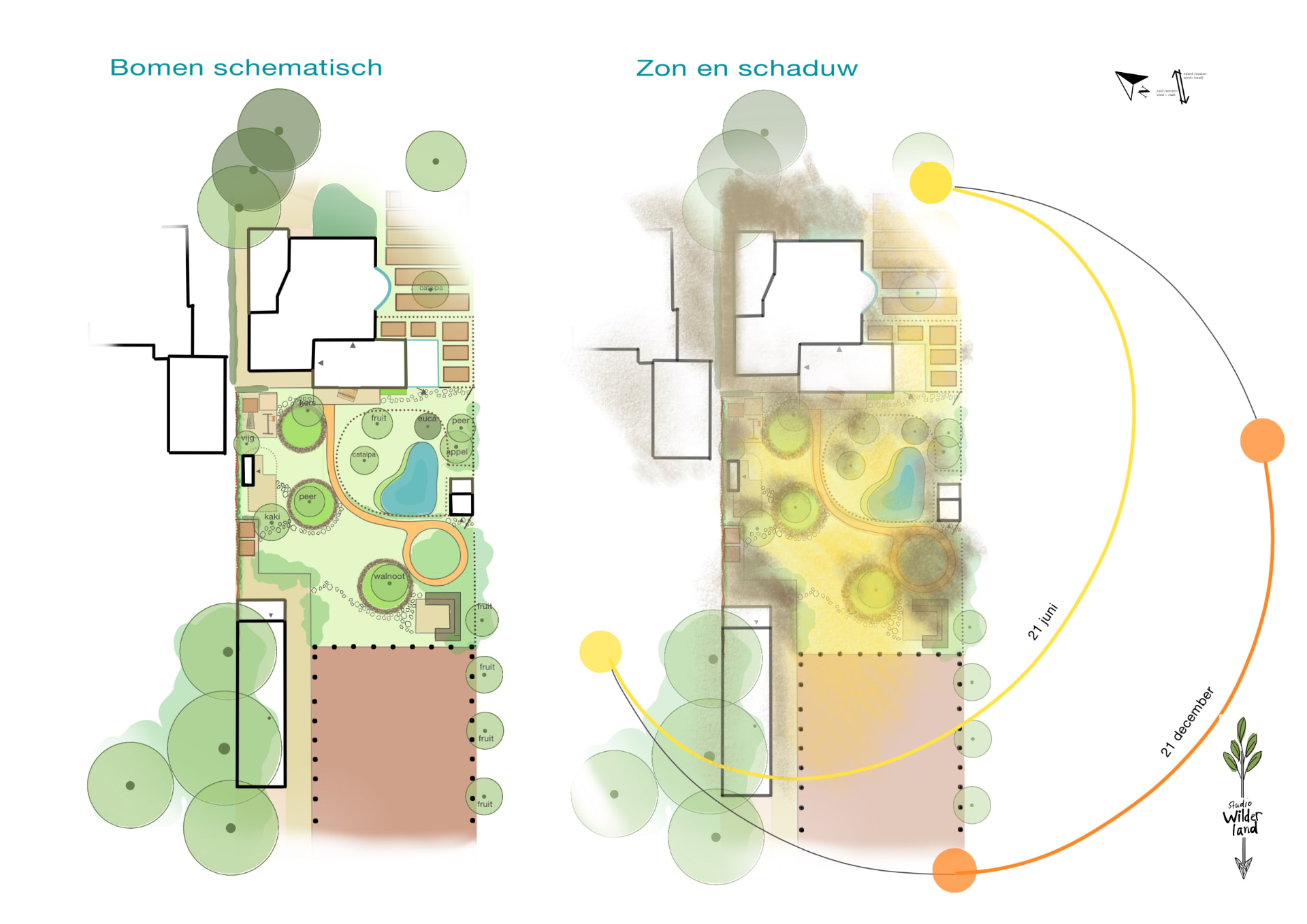 Overzichten: bomen schematisch en zon en schaduw op 21 juni en 21 december