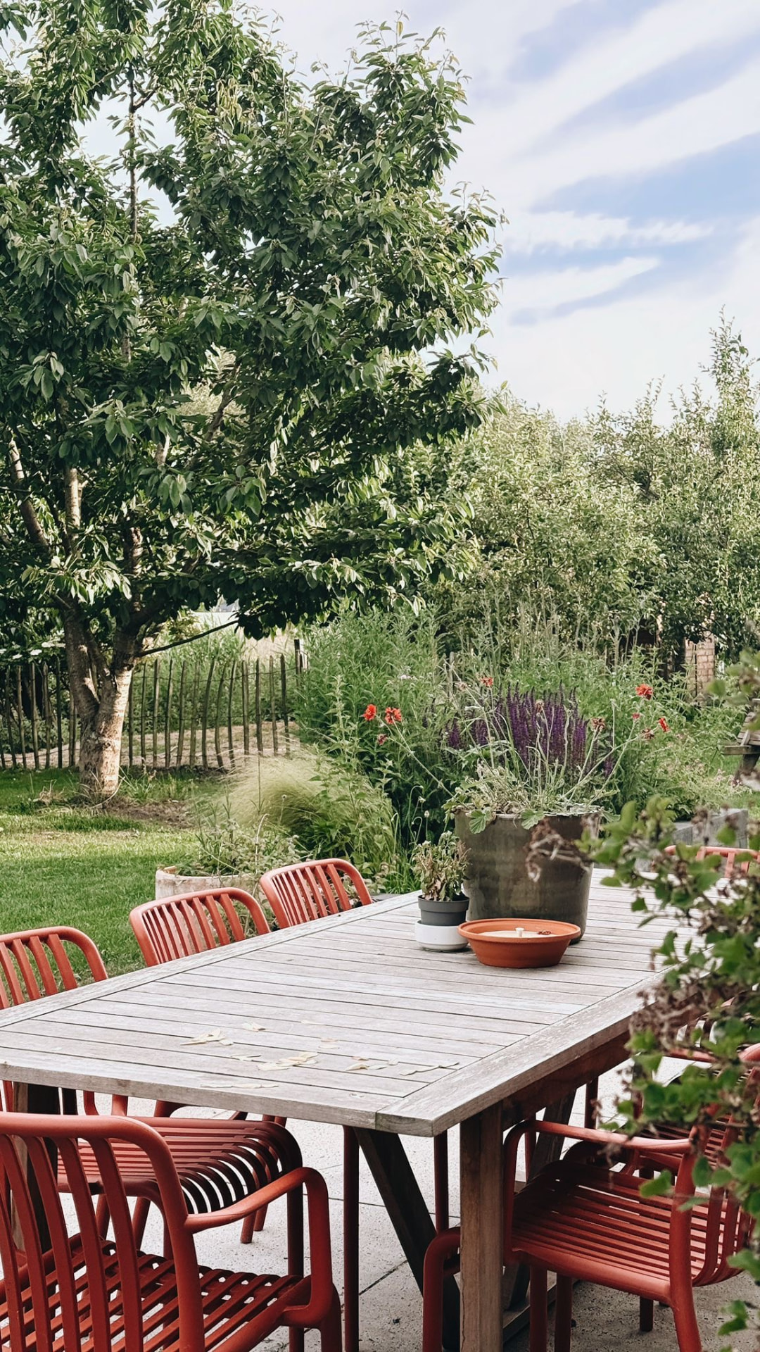 Terras met houten tafel en rode stoelen, omgeven door groene borders en appelbomen