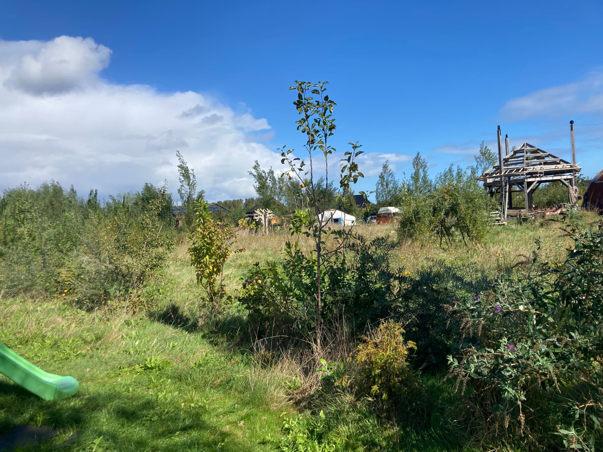 Foto van de kavel in Oosterwold met jonge fruitbomen, ruig grasland en houtbouw op de achtergrond