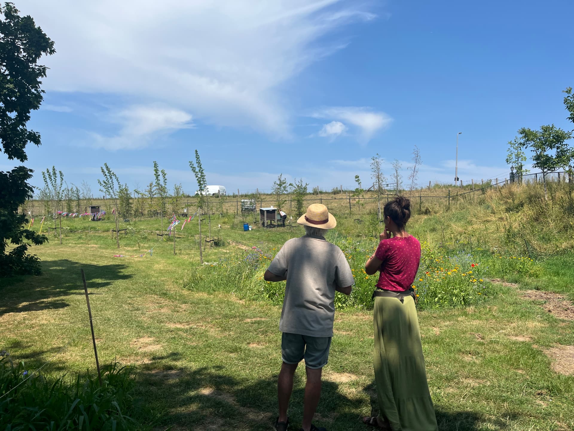 Twee bewoners kijken uit over het aangeplante veld in de zomer