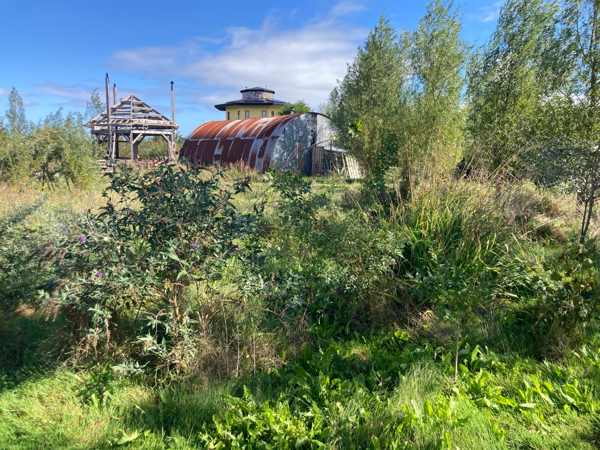 Foto van de kavel in Oosterwold met struiken, wilgen en de bestaande loods