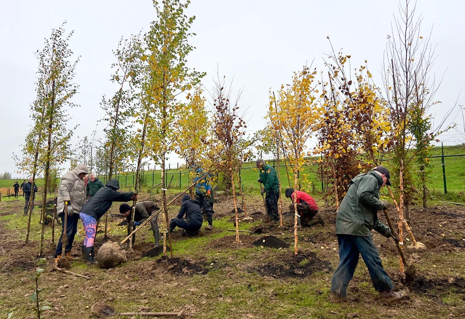 Vrijwilligers planten bomen tijdens de plantdag