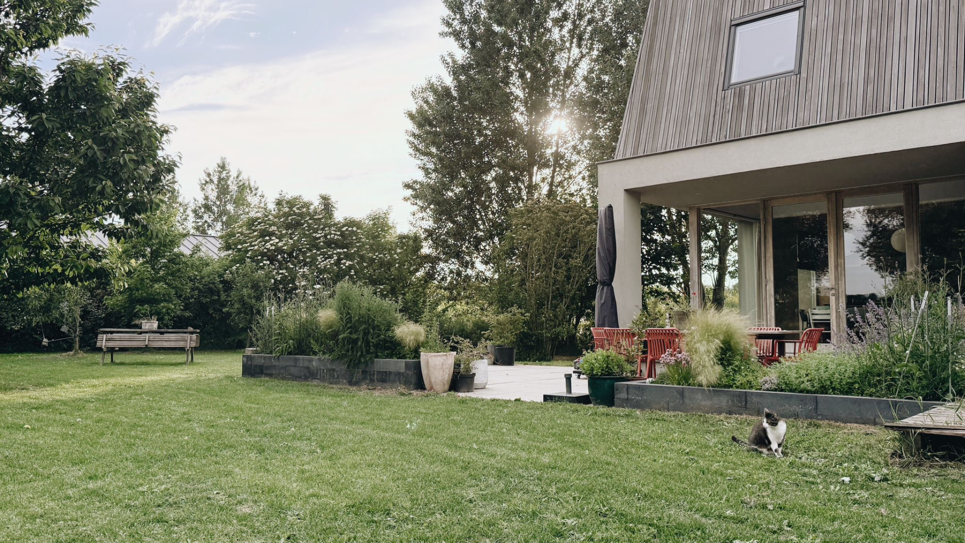 De tuin in zomer met gazon, terras en border met siergrassen langs het huis
