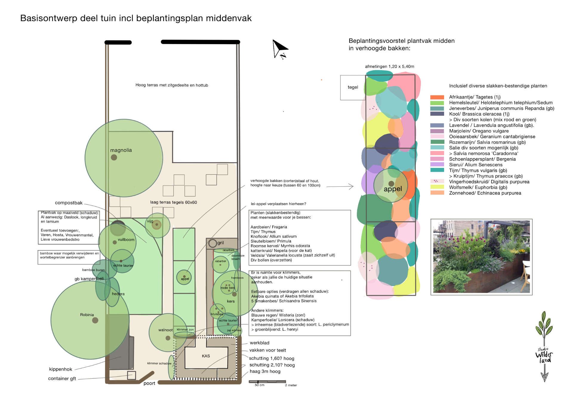 Basisontwerp van de achtertuin in Muiden inclusief beplantingsplan middenvak